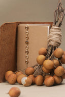Book with a chain bookmark and longan fruit on a neutral background