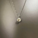 Silver necklace with a shell pendant on a gray background